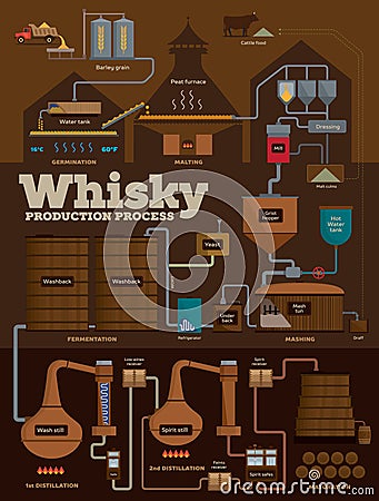 Whisky distillery production process infographics Vector Illustration