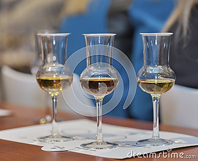 Whisky Dram Festival in Kiev, Ukraine Editorial Stock Photo