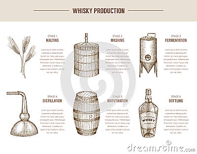 Whisky production. Vector Illustration