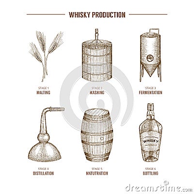 Whisky production. Vector Illustration