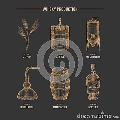 Whisky production. Vector Illustration