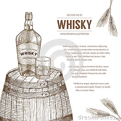 Whisky template. Vector Illustration