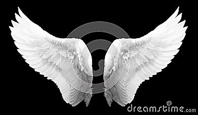 White angel wing isolated Stock Photo