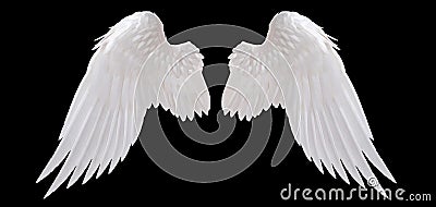 White angel wing Stock Photo