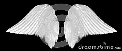 White angel wings Stock Photo