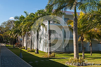 White apartment building among the palm trees. Stock Photo