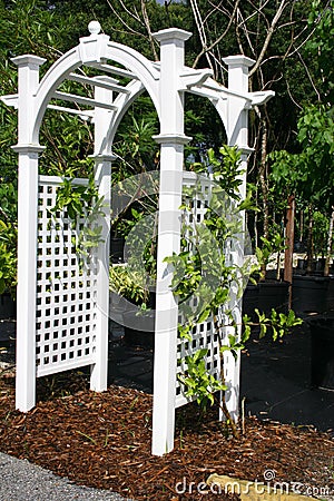 White Arbor Stock Photo