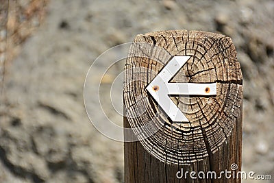 White arrow put into a log Stock Photo