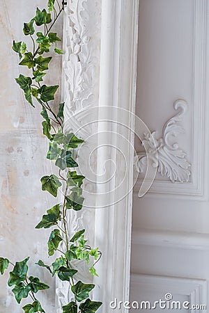 White art stucco gypsum wall with a grean loach branch on it Stock Photo