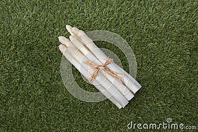 White asparagus Stock Photo