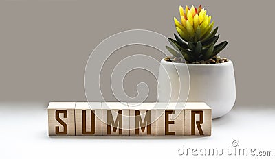 On a white background with a cactus, wooden cubes with the inscription summer on a white background. Stock Photo