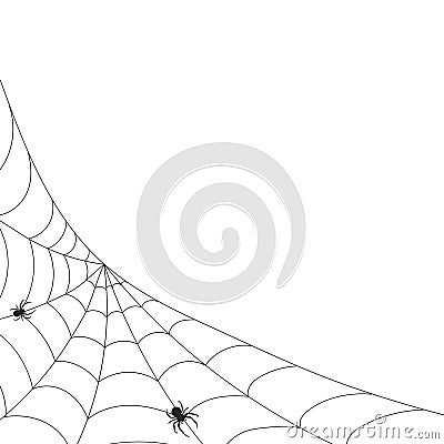White background with cobweb and spider. Insects. Illustration, background with copy space Vector Illustration
