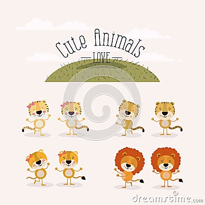 White background with grass and set cute animals love female and male tigers and lions Vector Illustration