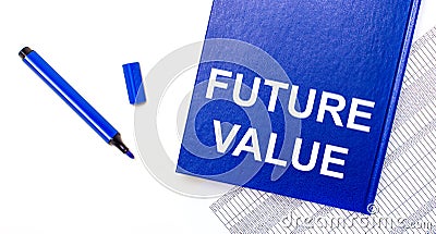 On a white background reports, a blue pen and a blue notebook with the text FUTURE VALUE. Business concept. Banner Stock Photo