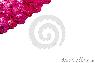 White background with small red roses in the upper left corner Stock Photo