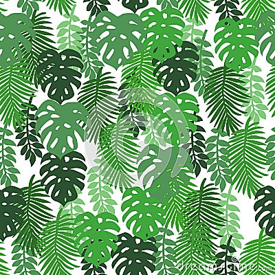 On a white background tropical leaves Vector Illustration