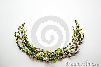 White background with twigs with small leaves. Stock Photo