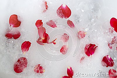 White bath foam with red roses petals floating, abstract bubbles texture backdrop Stock Photo