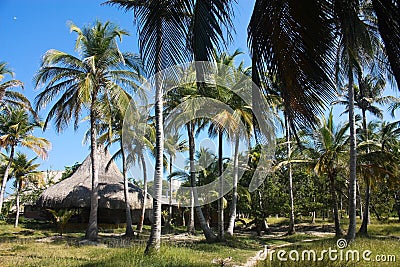 White beach on the island of Baru. Stock Photo