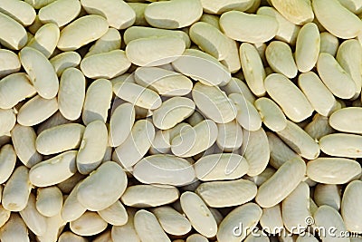 White beans pods texture Phaseolus vulgaris in evening sunshine Stock Photo