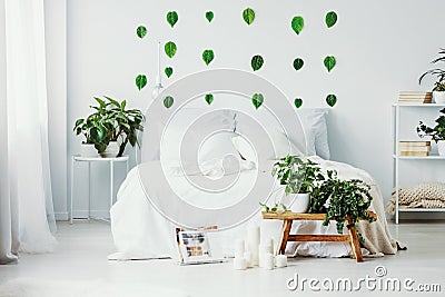 White bedroom interior with king size bed, urban jungle and green leafs on the wall Stock Photo