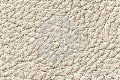 White beige leather texture background with pattern, closeup. Stock Photo