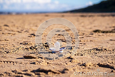 A white binky laying in the sand on the beach Stock Photo