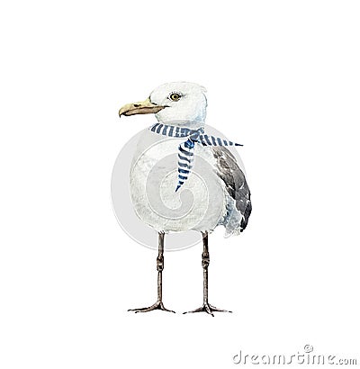 White bird seagull with a scarf in a marine style Cartoon Illustration