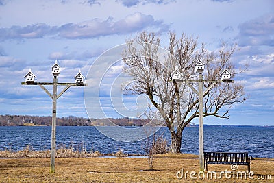 White Birdhouses on Tall Poles Along the Lakeshore Stock Photo