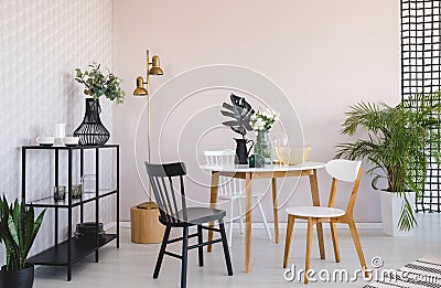 White and black chair at wooden table with plant in dining room interior with gold lamp. Real photo Stock Photo