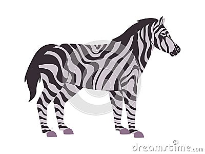 white and black color striped zebra nature animal herbivore mammal creature fauna wildlife Vector Illustration