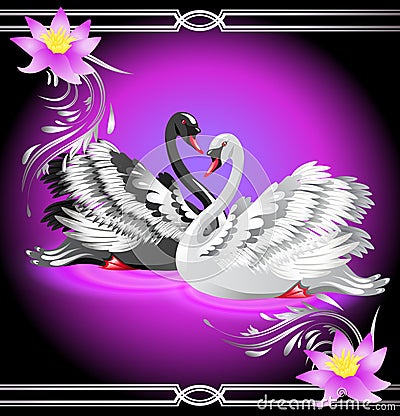 White and black swan and lilies Vector Illustration