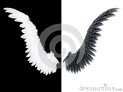 White and Black Wing Stock Photo