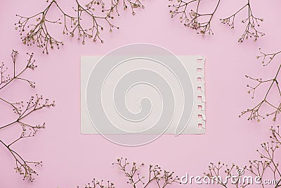 White blank card with pastel flowers and ribbon on pink pale background, floral frame. Creative greeting, Invitation and holiday c Stock Photo