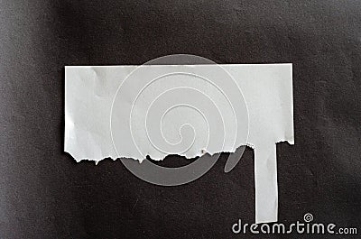 White blank sheet of paper with last tear off tab on gray background. Crumpled sheet. Last tear-off tab Stock Photo