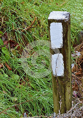 White Blazes on the Appalachian Trail Stock Photo