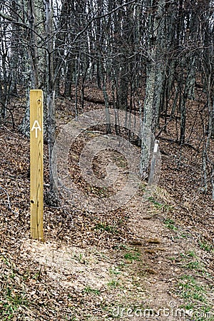 White Blazes on the Appalachian Trail Stock Photo