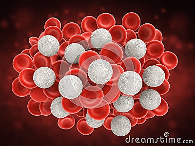 White blood cells with red blood cells Stock Photo