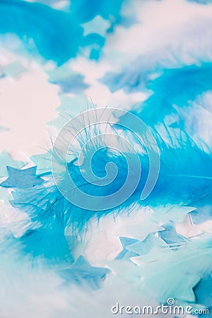 White and blue colors. Bird feather on selective focus. Close up. Background. Copy space for text. Femine, light airy Feathers Stock Photo