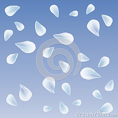 White Blue sakura flying petals isolated on light Blue gradient background. Petals Roses Flowers. Vector Vector Illustration