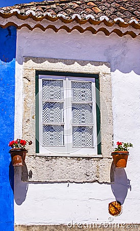 White Blue Wall Flowers Street Mediieval City Obidos Portugal Stock Photo