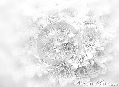 White bouquet background. Stock Photo