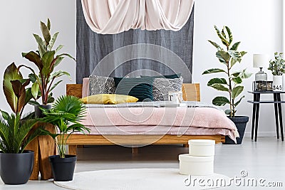 Drapes in cozy bedroom Stock Photo