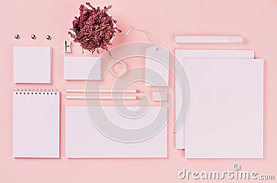 White branding stationery, mock up scene on light soft pastel pink background, blank objects for placing your design. Stock Photo