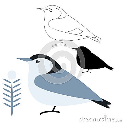 White breasted nuthatch north american bird Vector Illustration