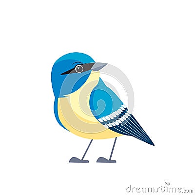 White-breasted nuthatch is a small songbird of the nuthatch family common across North America. Cartoon flat style Vector Illustration