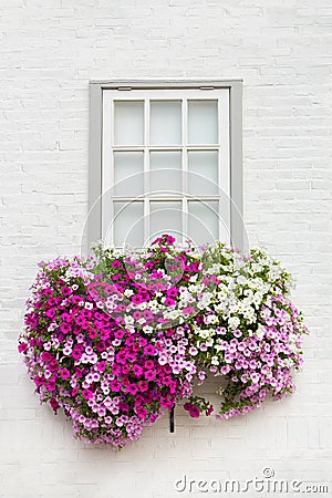 White facade with window and flowers in flower box Stock Photo