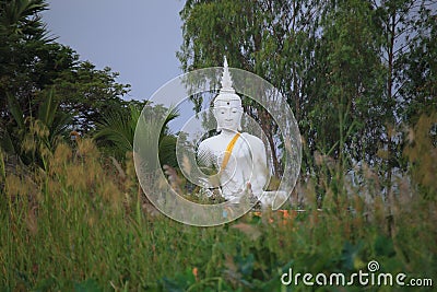 White Buddha Stock Photo