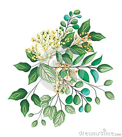 White buds flowers with leaves bouquet painting vector design Vector Illustration