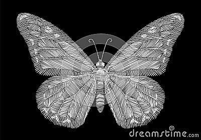 White butterfly embroidery on black background. ethnic neck line design graphics fashion wearing Stock Photo